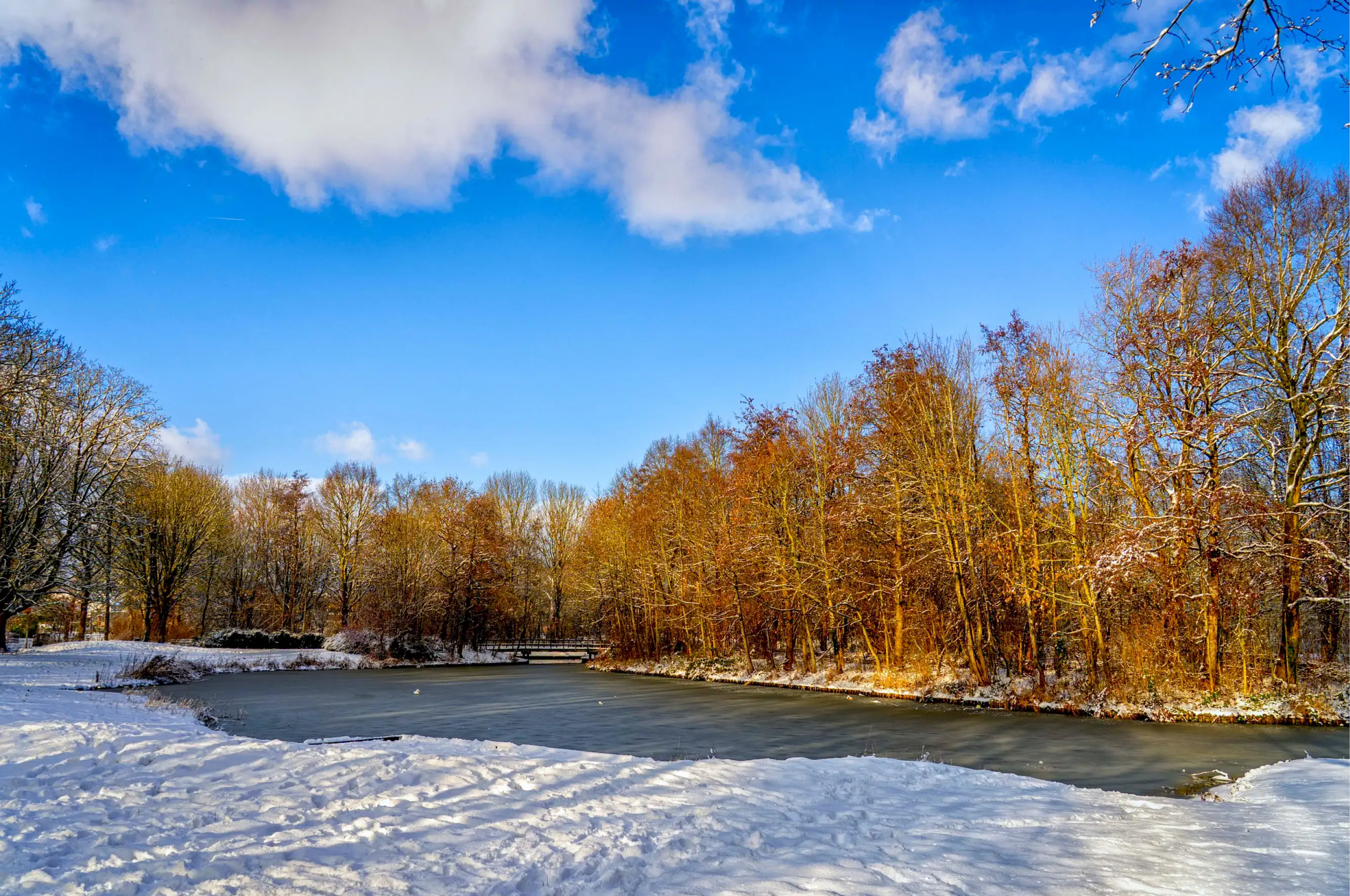 Vrienden Park de Meet Vijver Winter 2026